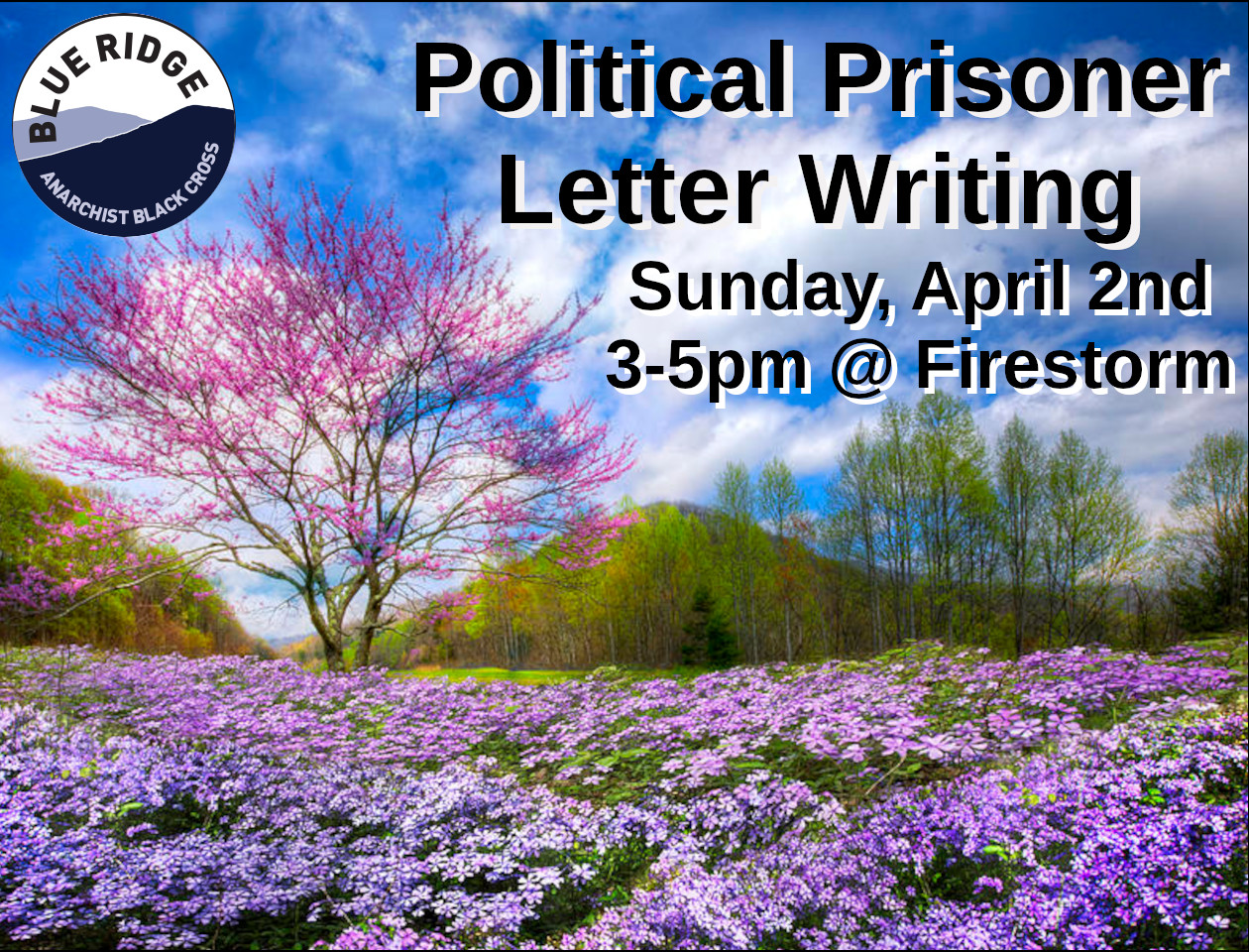 Political Prisoner Letter Writing event at Firestom books featuring a colorful field with purple and pink flowers